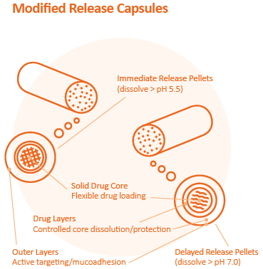 Modified_release_capsule-design